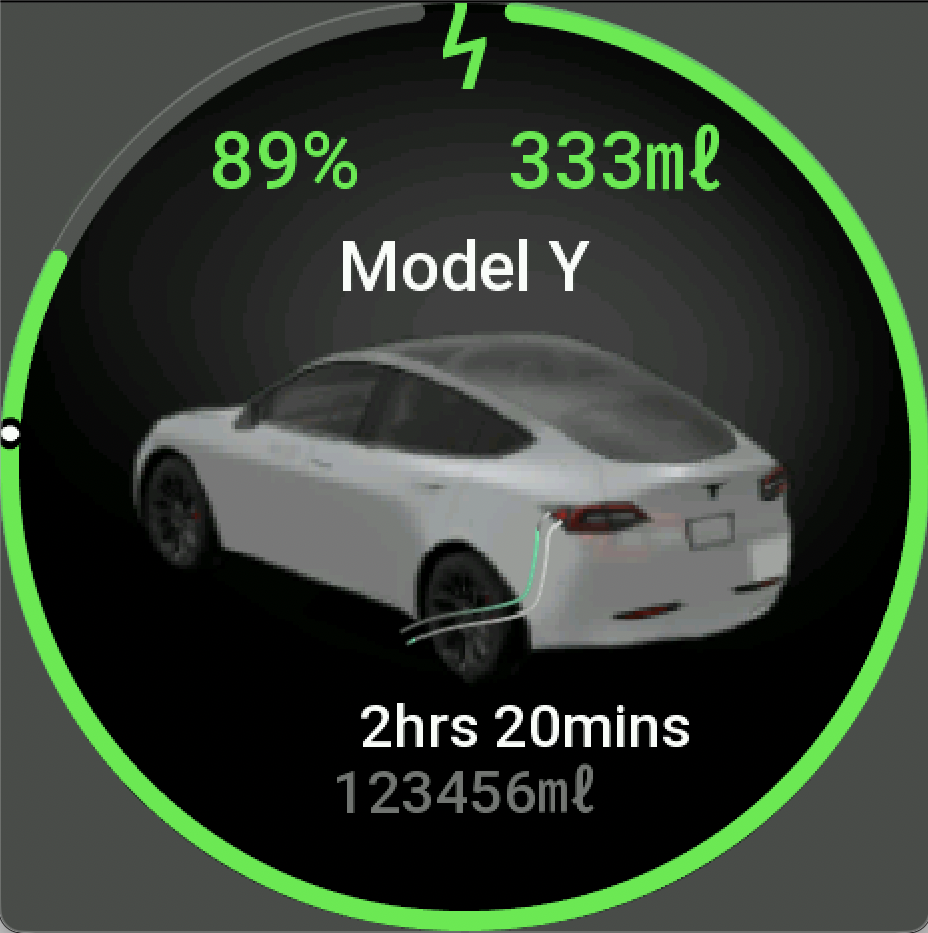 Amazla vehicle status screen
